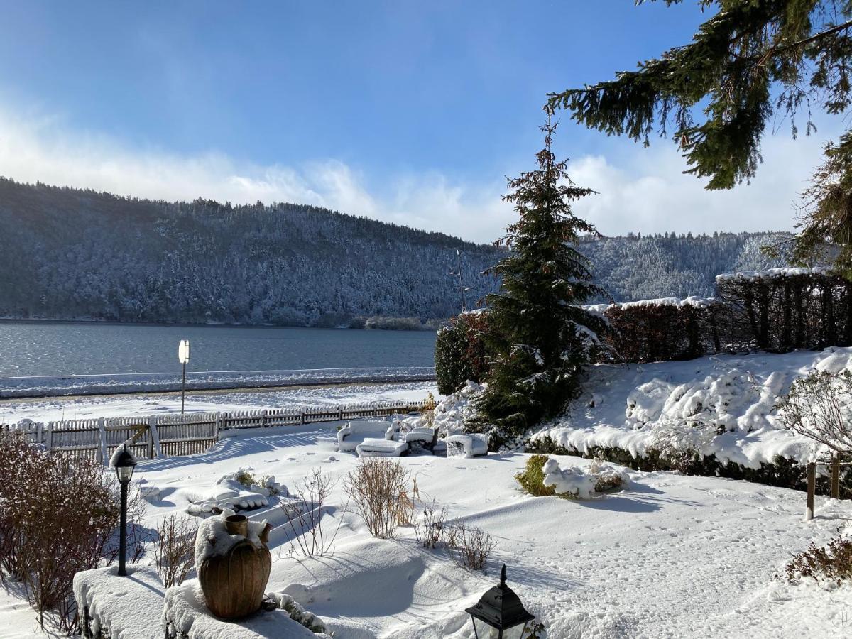 Hotel La Bonne Hotesse Chambon-sur-Lac Exterior photo